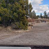 Review photo of Juniper Family Campground — Bandelier National Monument by Jean C., June 1, 2020