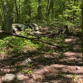Review photo of Chinnabee Silent Trail Backcountry Site 1 by Asher K., June 1, 2020