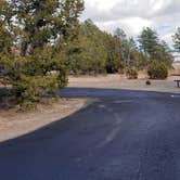 Review photo of Juniper Family Campground — Bandelier National Monument by Jean C., June 1, 2020