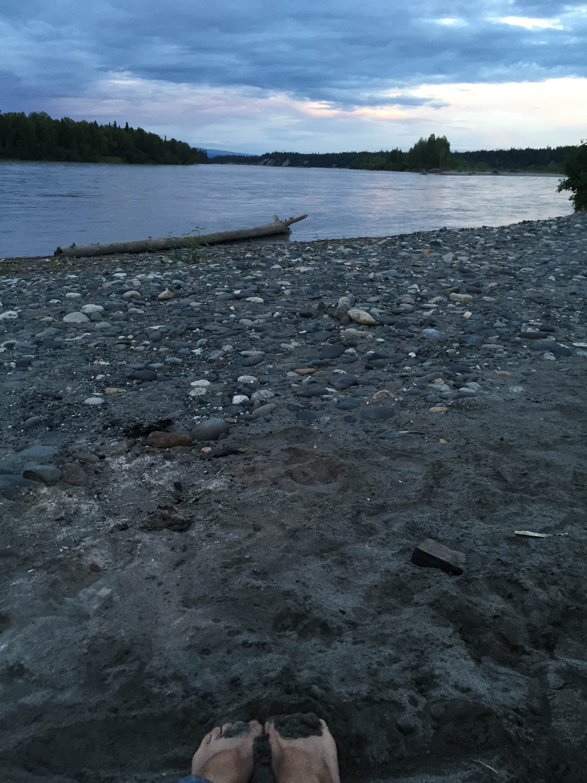 Camper-submitted photo at Three Bears Trapper Creek Inn & RV Park near Talkeetna, AK