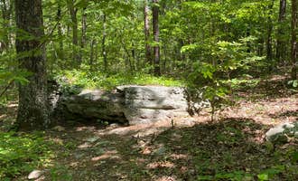 Camping near McDill Point Backcountry — Cheaha State Park: Chinnabee Silent Trail Backcountry Site 1, Lineville, Alabama