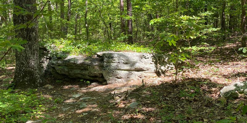 Camper submitted image from Chinnabee Silent Trail Backcountry Site 1