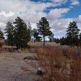 Review photo of Juniper Family Campground — Bandelier National Monument by Jean C., June 1, 2020