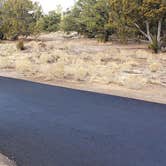 Review photo of Juniper Family Campground — Bandelier National Monument by Jean C., June 1, 2020