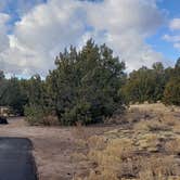 Review photo of Juniper Family Campground — Bandelier National Monument by Jean C., June 1, 2020