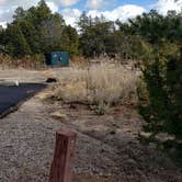 Review photo of Juniper Family Campground — Bandelier National Monument by Jean C., June 1, 2020