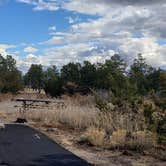 Review photo of Juniper Family Campground — Bandelier National Monument by Jean C., June 1, 2020