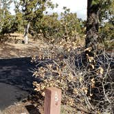 Review photo of Juniper Family Campground — Bandelier National Monument by Jean C., June 1, 2020