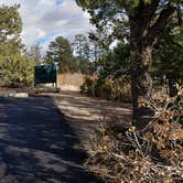 Review photo of Juniper Family Campground — Bandelier National Monument by Jean C., June 1, 2020