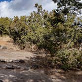 Review photo of Juniper Family Campground — Bandelier National Monument by Jean C., June 1, 2020