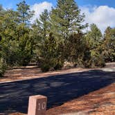 Review photo of Juniper Family Campground — Bandelier National Monument by Jean C., June 1, 2020