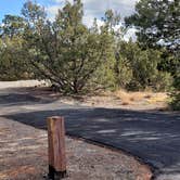 Review photo of Juniper Family Campground — Bandelier National Monument by Jean C., June 1, 2020