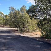 Review photo of Juniper Family Campground — Bandelier National Monument by Jean C., June 1, 2020