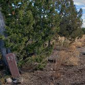 Review photo of Juniper Family Campground — Bandelier National Monument by Jean C., June 1, 2020