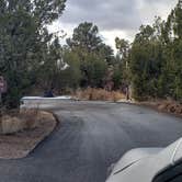 Review photo of Juniper Family Campground — Bandelier National Monument by Jean C., June 1, 2020