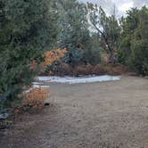 Review photo of Juniper Family Campground — Bandelier National Monument by Jean C., June 1, 2020