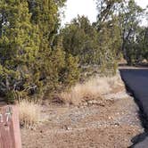 Review photo of Juniper Family Campground — Bandelier National Monument by Jean C., June 1, 2020