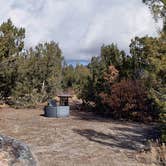 Review photo of Juniper Family Campground — Bandelier National Monument by Jean C., June 1, 2020