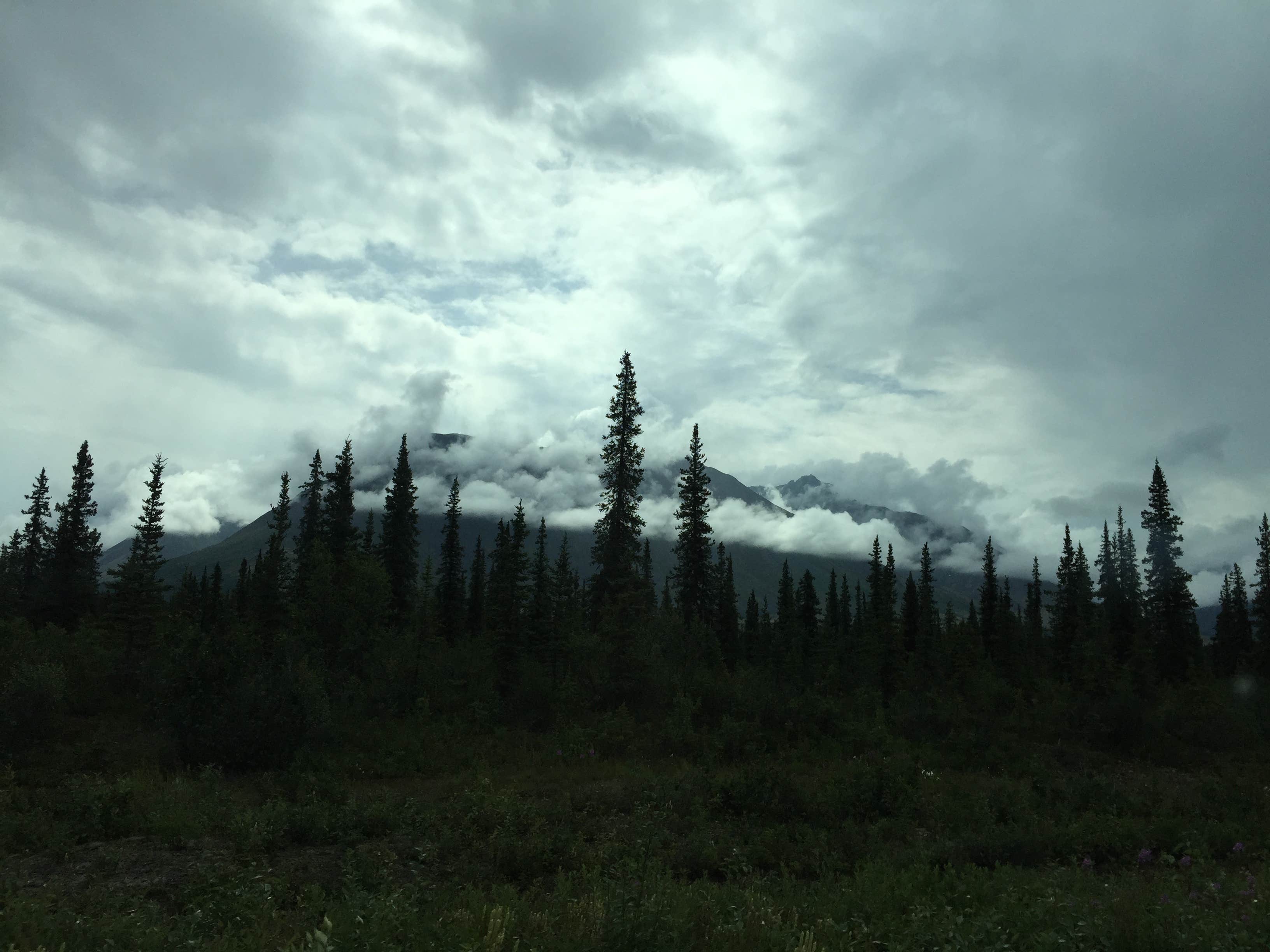 Byers Lake Campground Trapper Creek, AK