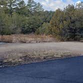 Review photo of Juniper Family Campground — Bandelier National Monument by Jean C., June 1, 2020