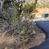 Review photo of Juniper Family Campground — Bandelier National Monument by Jean C., June 1, 2020