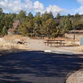 Review photo of Juniper Family Campground — Bandelier National Monument by Jean C., June 1, 2020