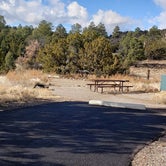 Review photo of Juniper Family Campground — Bandelier National Monument by Jean C., June 1, 2020
