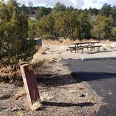 Review photo of Juniper Family Campground — Bandelier National Monument by Jean C., June 1, 2020