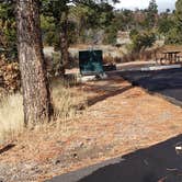 Review photo of Juniper Family Campground — Bandelier National Monument by Jean C., June 1, 2020