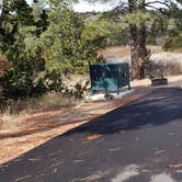 Review photo of Juniper Family Campground — Bandelier National Monument by Jean C., June 1, 2020