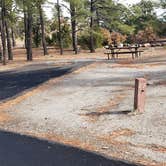 Review photo of Juniper Family Campground — Bandelier National Monument by Jean C., June 1, 2020