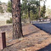 Review photo of Juniper Family Campground — Bandelier National Monument by Jean C., June 1, 2020