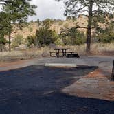 Review photo of Juniper Family Campground — Bandelier National Monument by Jean C., June 1, 2020