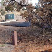 Review photo of Juniper Family Campground — Bandelier National Monument by Jean C., June 1, 2020