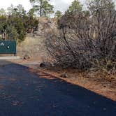 Review photo of Juniper Family Campground — Bandelier National Monument by Jean C., June 1, 2020