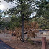 Review photo of Juniper Family Campground — Bandelier National Monument by Jean C., June 1, 2020