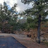 Review photo of Juniper Family Campground — Bandelier National Monument by Jean C., June 1, 2020