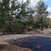 Review photo of Juniper Family Campground — Bandelier National Monument by Jean C., June 1, 2020