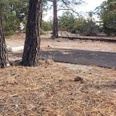 Review photo of Juniper Family Campground — Bandelier National Monument by Jean C., June 1, 2020