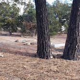 Review photo of Juniper Family Campground — Bandelier National Monument by Jean C., June 1, 2020