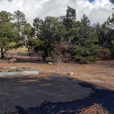 Review photo of Juniper Family Campground — Bandelier National Monument by Jean C., June 1, 2020