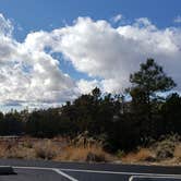 Review photo of Juniper Family Campground — Bandelier National Monument by Jean C., June 1, 2020