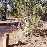 Review photo of Juniper Family Campground — Bandelier National Monument by Jean C., June 1, 2020