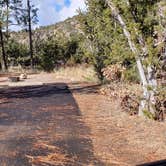 Review photo of Juniper Family Campground — Bandelier National Monument by Jean C., June 1, 2020