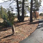 Review photo of Juniper Family Campground — Bandelier National Monument by Jean C., June 1, 2020