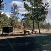 Review photo of Juniper Family Campground — Bandelier National Monument by Jean C., June 1, 2020