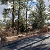 Review photo of Juniper Family Campground — Bandelier National Monument by Jean C., June 1, 2020