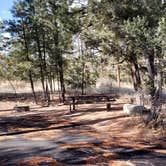 Review photo of Juniper Family Campground — Bandelier National Monument by Jean C., June 1, 2020