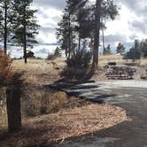 Review photo of Juniper Family Campground — Bandelier National Monument by Jean C., June 1, 2020