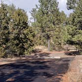 Review photo of Juniper Family Campground — Bandelier National Monument by Jean C., June 1, 2020